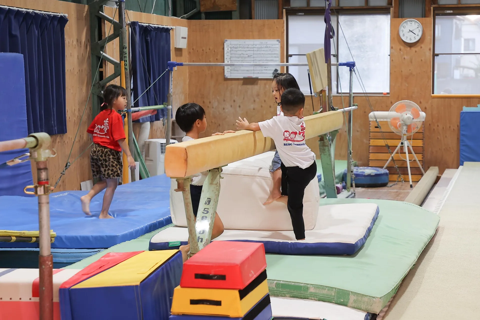 埼玉県さいたま市見沼区大和田町で活動している体操教室です。